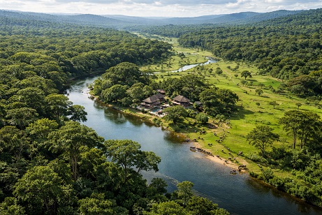 Home Green Nigeria