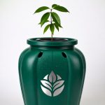 Home Tree Out 150x150